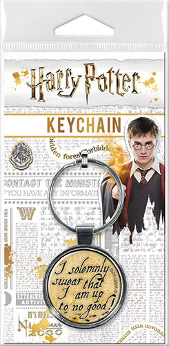 Harry Potter - Solemnly Swear Round Keychain