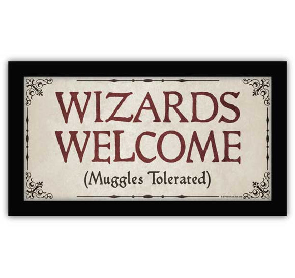 Harry Potter Wizards Welcome 10x18