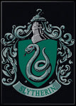 Harry Potter - Slytherin Crest Magnet